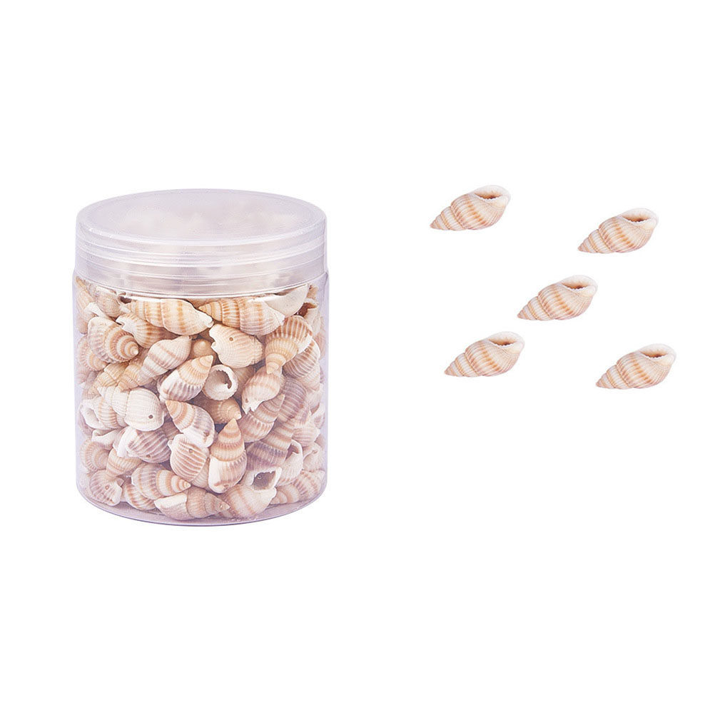 Art Craft Gallery - Kerajinan Kerang Mini Alami, Hiasan Kerang