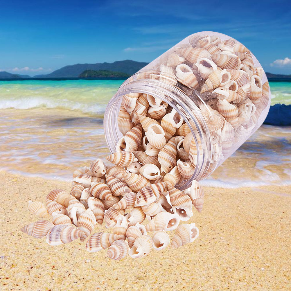 Kerajinan Kerang Mini Alami, H - Art Craft Gallery ulasan dan harga