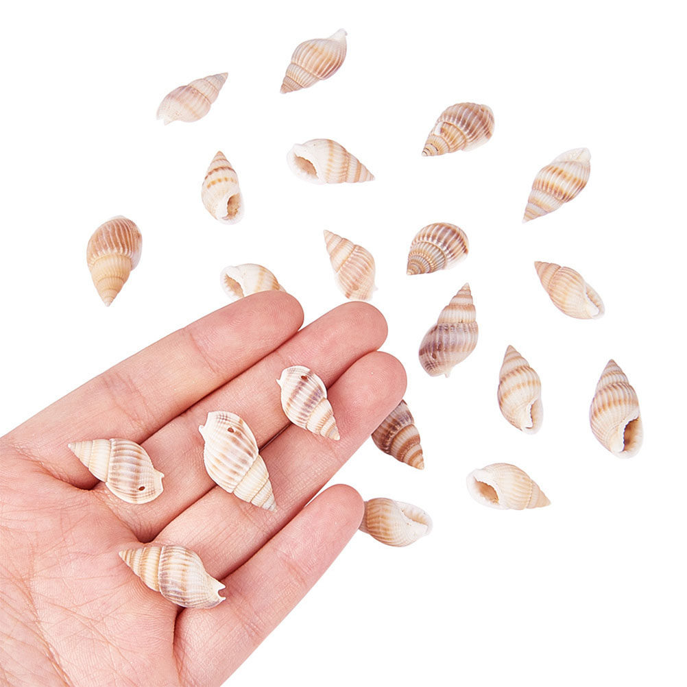 Kerajinan Kerang Mini Alami, H - Art Craft Gallery ulasan dan harga