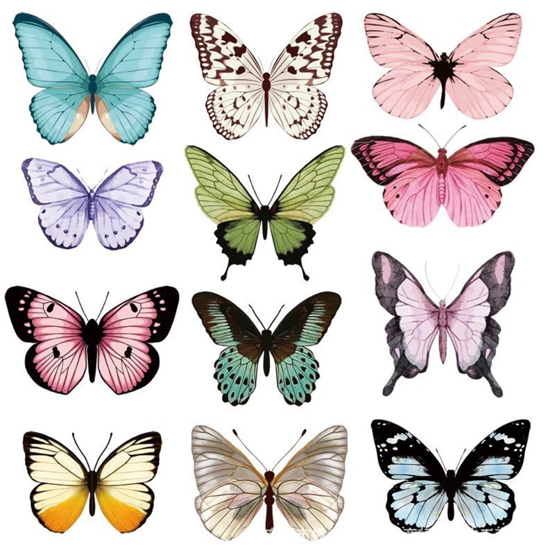 12pcs Stiker Dinding Kupu-kupu - Art Craft Easter ulasan dan harga